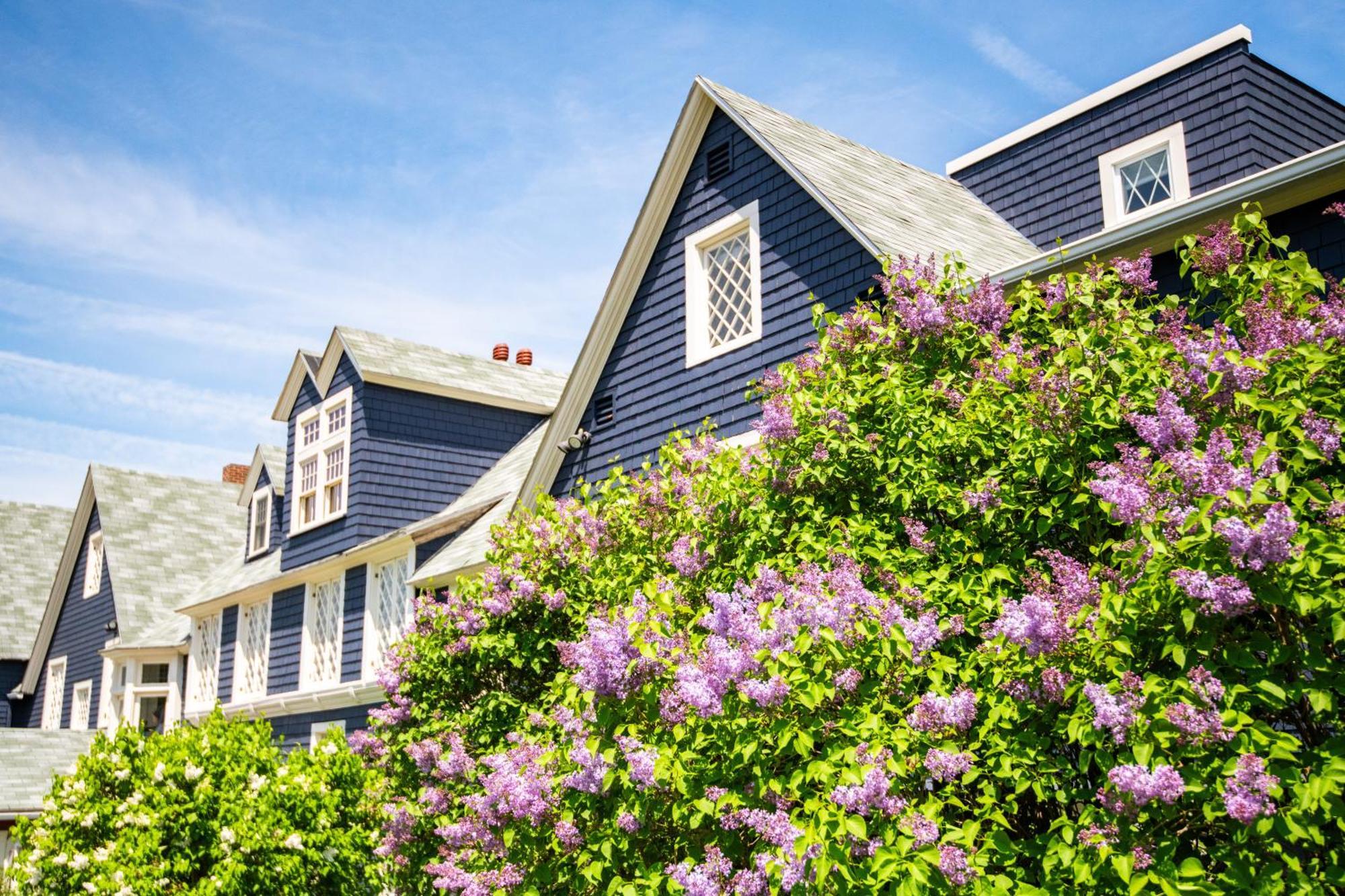 Cleftstone Manor Bed and Breakfast Bar Harbor Buitenkant foto